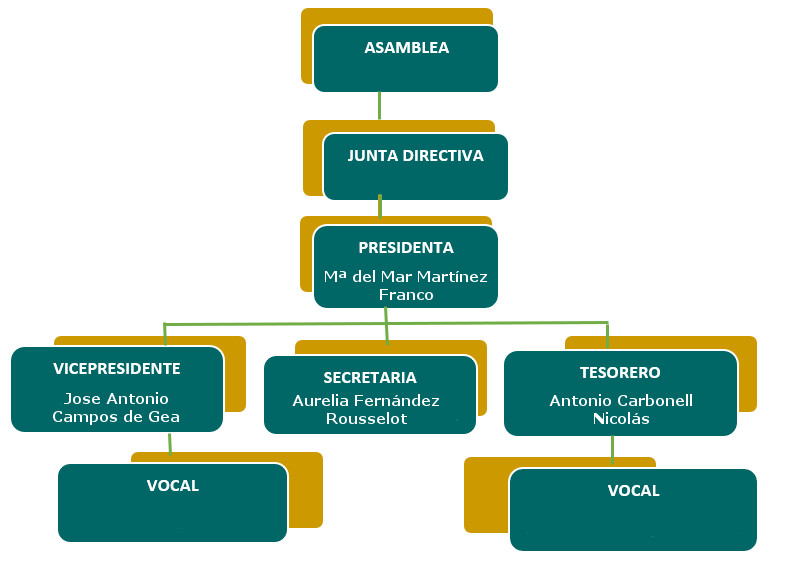 diagrama con la junta de PREDIF MURCIA:Presidenta-Mª del Mar Martínez;Secretaria-Aurelia Fernández;Vicepresidente-Jose Antonio Campos y tesorero-Antonio Carbonell